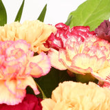 Birthday Balloon & Candy Floss Bouquet FlowersThis Beautiful Bouquet, carefully selected flowers with foliage are expertly arranged to create this dramatic design. This stunning gift is the ultimate gift to create an impression. Beautifully wrapped and ti