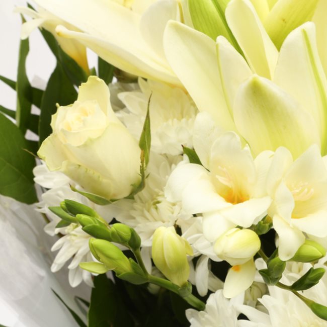 White Elegance BouquetThis Beautiful Bouquet, carefully selected flowers with foliage are expertly arranged to create this dramatic design. This stunning gift is the ultimate gift to create an impression. Beautifully wrapped and tied with ribbon before be