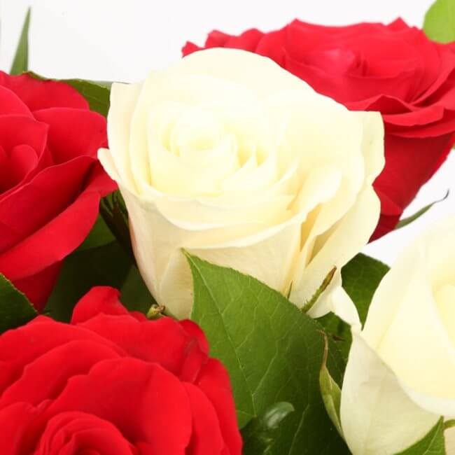 Thank You Balloon & 12 Red & White RosesThis Beautiful Bouquet, carefully selected flowers with foliage are expertly arranged to create this dramatic design. This stunning gift is the ultimate gift to create an impression. Beautifully wrapped and tied wit