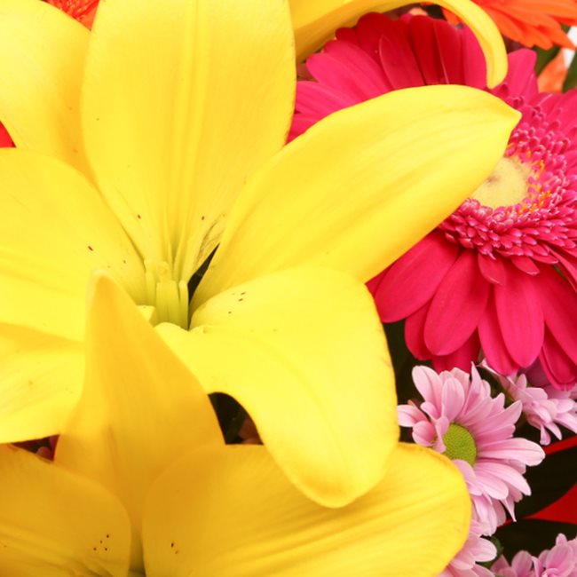 Summer Sun BouquetThis Beautiful Bouquet, carefully selected flowers with foliage are expertly arranged to create this dramatic design. This stunning gift is the ultimate gift to create an impression. Beautifully wrapped and tied with ribbon before being