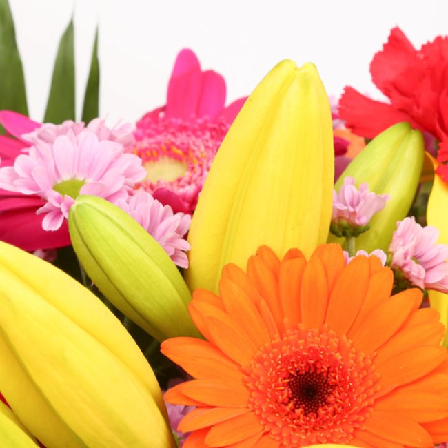 Summer Sun BouquetThis Beautiful Bouquet, carefully selected flowers with foliage are expertly arranged to create this dramatic design. This stunning gift is the ultimate gift to create an impression. Beautifully wrapped and tied with ribbon before being