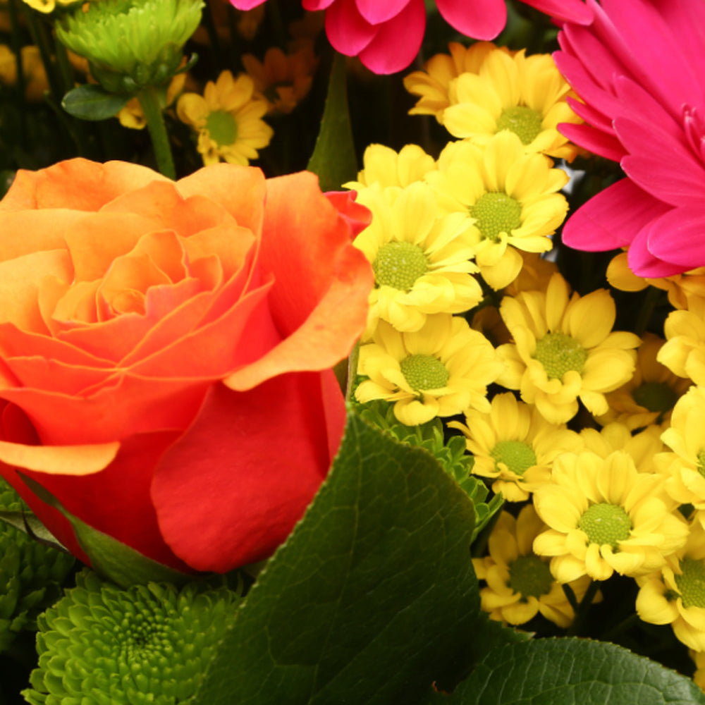 Wonderful BouquetThis Beautiful Bouquet, carefully selected flowers with foliage are expertly arranged to create this dramatic design. This stunning gift is the ultimate gift to create an impression. Beautifully wrapped and tied with ribbon before being d