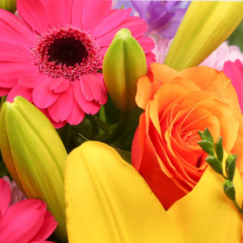 Embrace Flowers BouquetThis Beautiful Bouquet, carefully selected flowers with foliage are expertly arranged to create this dramatic design. This stunning gift is the ultimate gift to create an impression. Beautifully wrapped and tied with ribbon before b