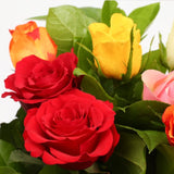 Multicolour Roses BouquetThis Beautiful Bouquet, carefully selected flowers with foliage are expertly arranged to create this dramatic design. This stunning gift is the ultimate gift to create an impression. Beautifully wrapped and tied with ribbon before