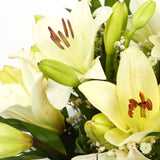 A Classic White Lilies BouquetA Classic White Lilies Bouquet flowers Beautifully wrapped and tied with ribbon before being delivered. A Beautiful Bouquet Hand Tied Flowers. Delivering Great Value Fresh Cut Flowers. Add Personalised Message At Checkout. Fr