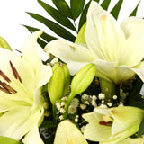 A Classic White Lilies BouquetA Classic White Lilies Bouquet flowers Beautifully wrapped and tied with ribbon before being delivered. A Beautiful Bouquet Hand Tied Flowers. Delivering Great Value Fresh Cut Flowers. Add Personalised Message At Checkout. Fr