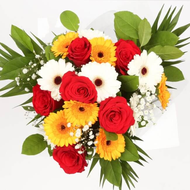 Celebration FlowersThis Beautiful Bouquet, carefully selected flowers with foliage are expertly arranged to create this dramatic design. This stunning gift is the ultimate gift to create an impression. Beautifully wrapped and tied with ribbon before being