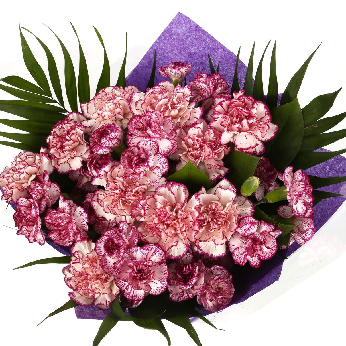 A Beautiful Purple Candy Carnations MelodyBeautiful Purple Candy Carnations Melody and foliage to create this beautifully scented bouquet. Beautifully wrapped and tied with ribbon before being delivered. A Beautiful Bouquet Hand Tied Flowers. Delivering G
