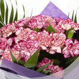 A Beautiful Purple Candy Carnations MelodyBeautiful Purple Candy Carnations Melody and foliage to create this beautifully scented bouquet. Beautifully wrapped and tied with ribbon before being delivered. A Beautiful Bouquet Hand Tied Flowers. Delivering G