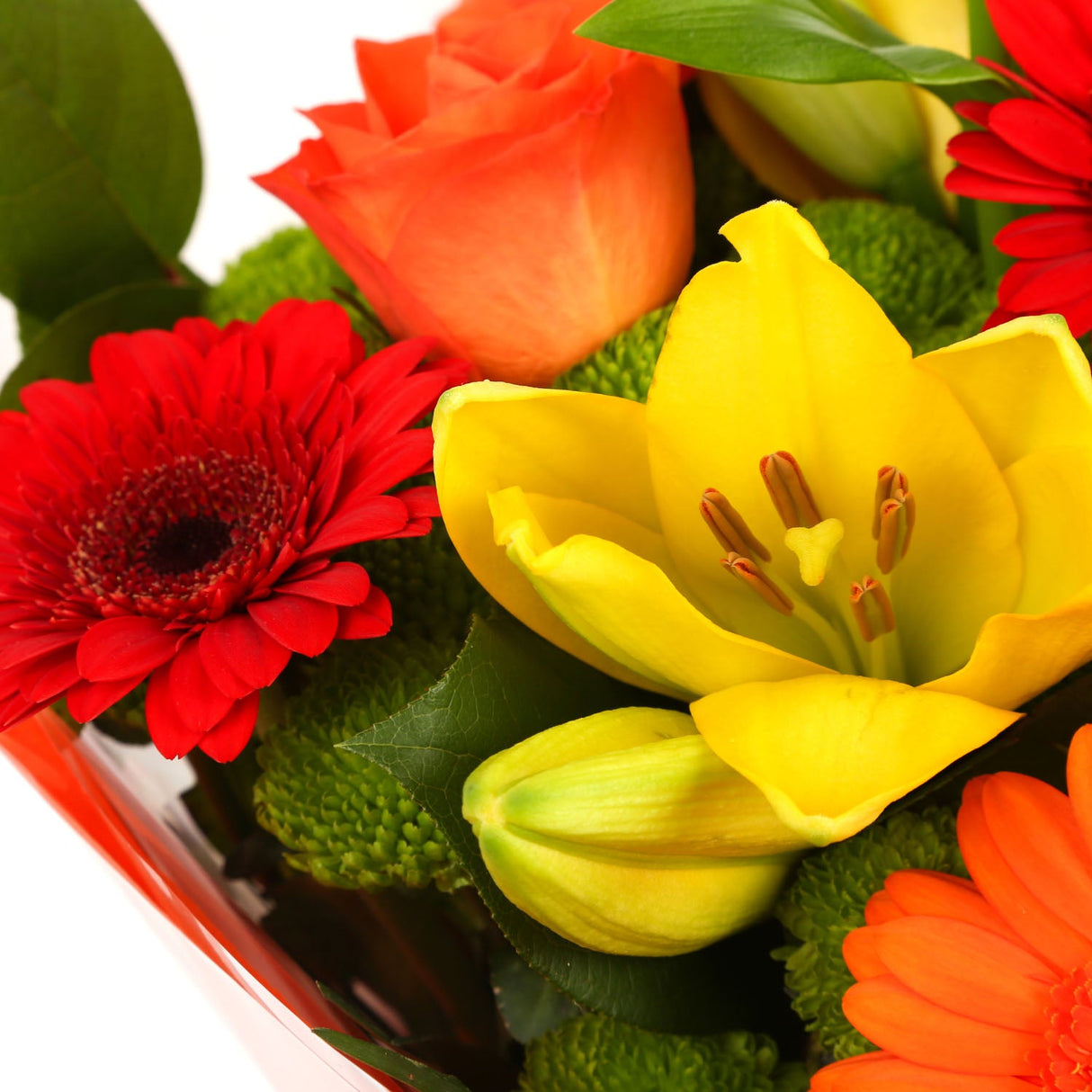 A Red Sunset Bouquet