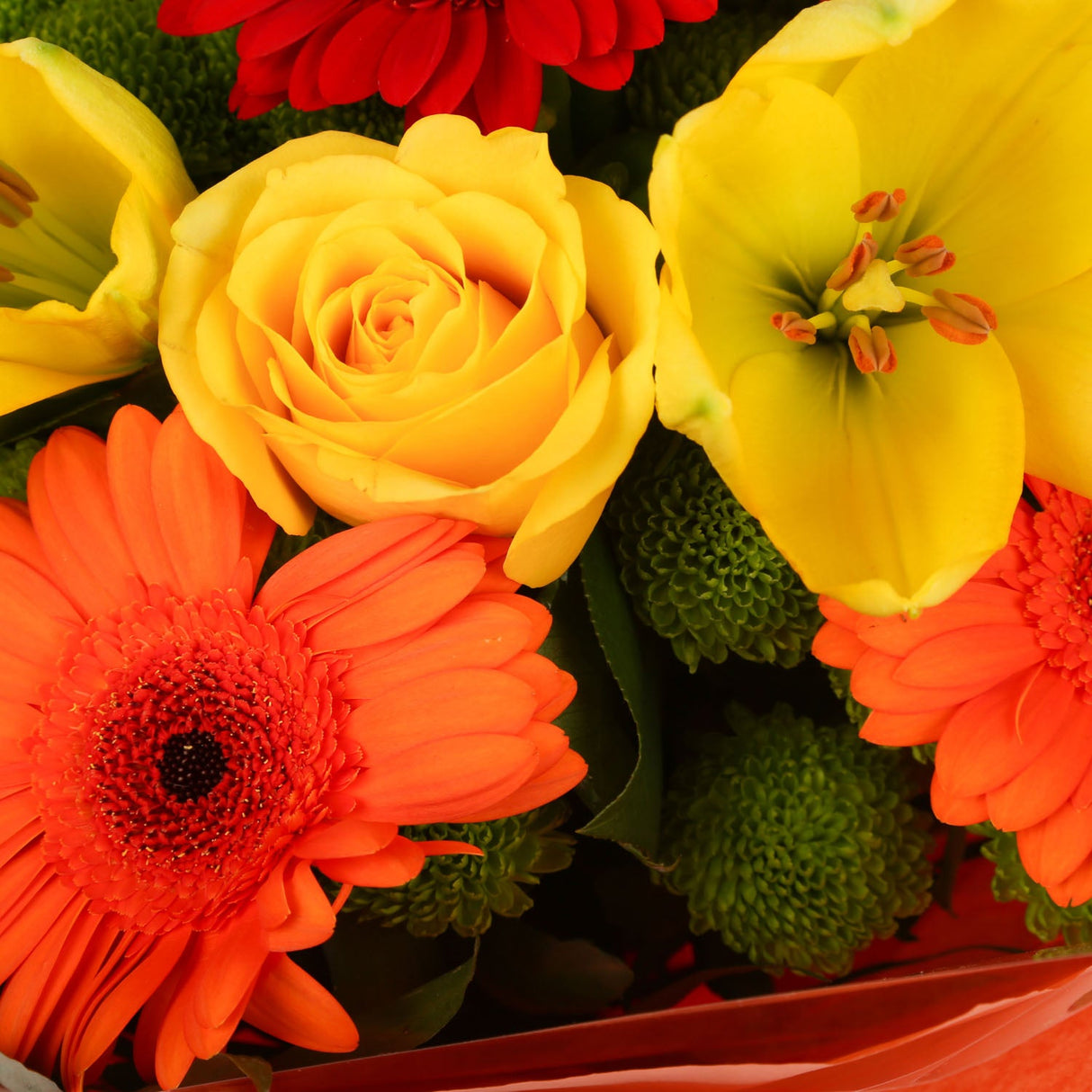 A Red Sunset Bouquet