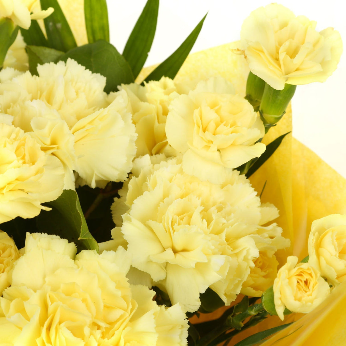 A Beautiful Gold Carnations MelodyBeautiful Yellow Gold Carnations Melody and foliage to create this beautifully scented bouquet. Beautifully wrapped and tied with ribbon before being delivered. A Beautiful Bouquet Hand Tied Flowers. Delivering Great Valu