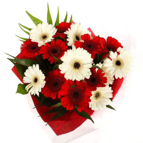 A Happy Gerbera Daisies BouquetHappy Gerbera Daisies Bouquet and foliage to create this beautifully scented bouquet. Beautifully wrapped and tied with ribbon before being delivered. A Beautiful Bouquet Hand Tied Flowers. Delivering Great Value Fresh Cut F