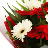 A Happy Gerbera Daisies BouquetHappy Gerbera Daisies Bouquet and foliage to create this beautifully scented bouquet. Beautifully wrapped and tied with ribbon before being delivered. A Beautiful Bouquet Hand Tied Flowers. Delivering Great Value Fresh Cut F