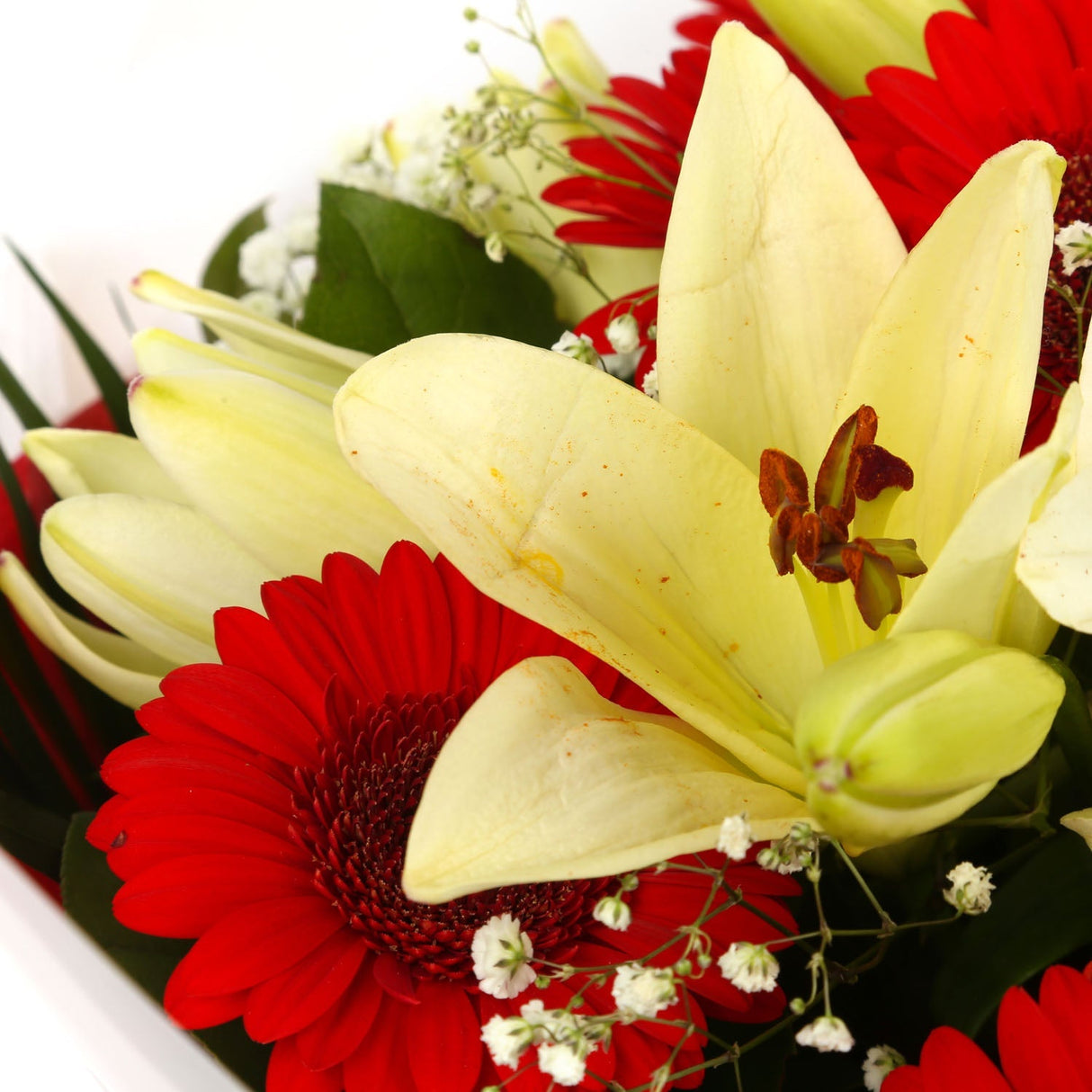Stunning Red Gerbera & Lily Flowers Bouquet