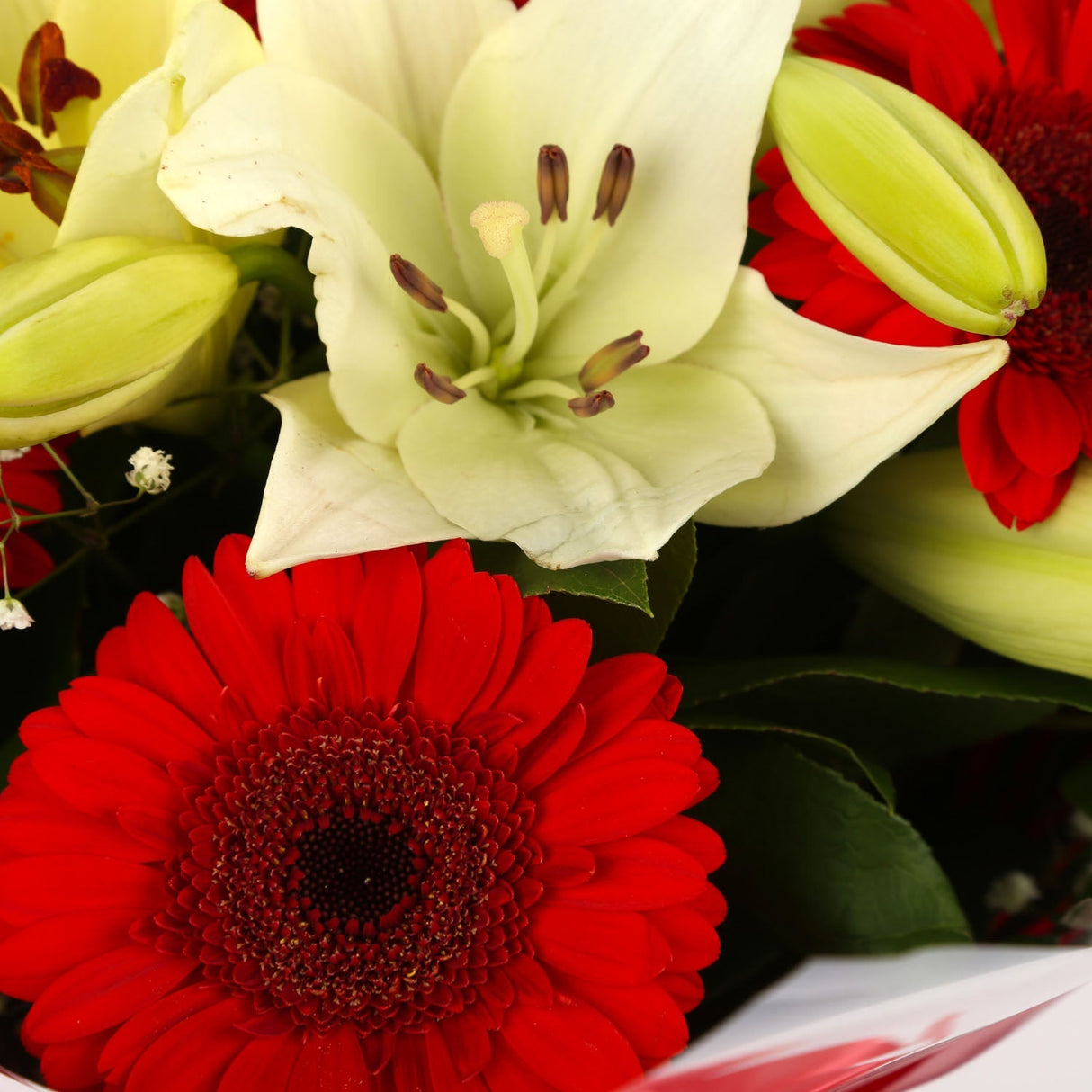 Stunning Red Gerbera & Lily Flowers Bouquet