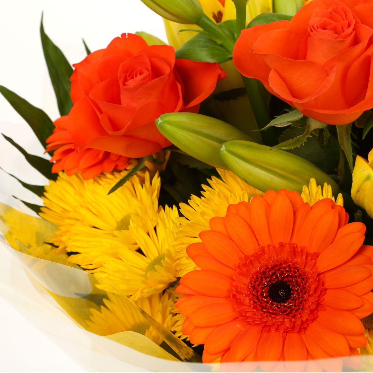 A Cherished Blooms BouquetA Cherished Blooms Bouquet flowers Beautifully wrapped and tied with ribbon before being delivered. A Beautiful Bouquet Hand Tied Flowers. Delivering Great Value Fresh Cut Flowers. Add Personalised Message At Checkout. Free Messa