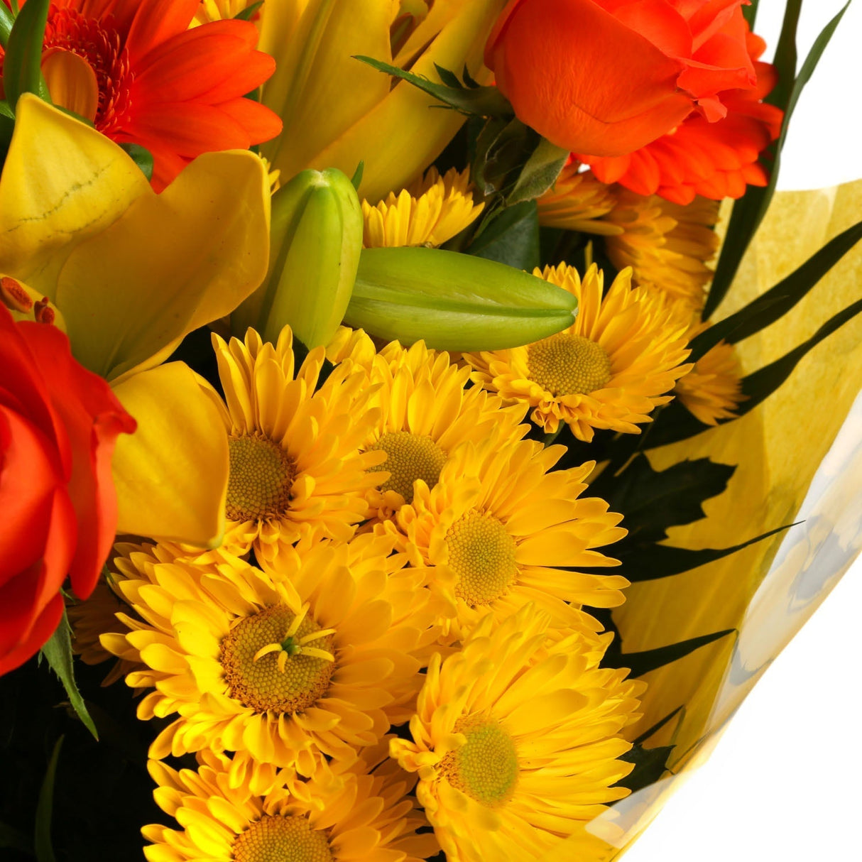 A Cherished Blooms BouquetA Cherished Blooms Bouquet flowers Beautifully wrapped and tied with ribbon before being delivered. A Beautiful Bouquet Hand Tied Flowers. Delivering Great Value Fresh Cut Flowers. Add Personalised Message At Checkout. Free Messa