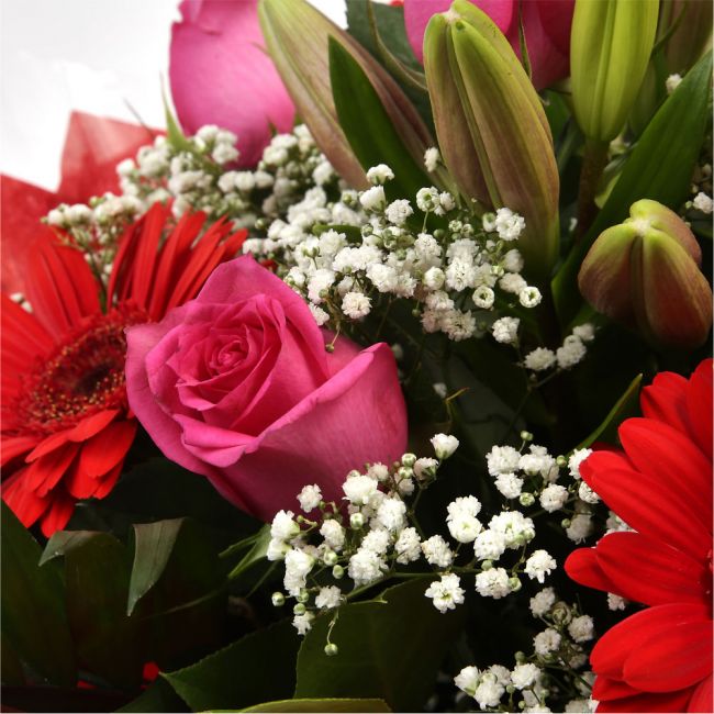 Majestic Luxury BouquetMajestic Luxury Bouquet that Is sure to make someone feel very special. We have chosen the finest flowers to create a breathtaking Bouquet, Beautifully wrapped and tied with ribbon before being delivered.£14.99