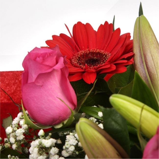 Majestic Luxury BouquetMajestic Luxury Bouquet that Is sure to make someone feel very special. We have chosen the finest flowers to create a breathtaking Bouquet, Beautifully wrapped and tied with ribbon before being delivered.£14.99