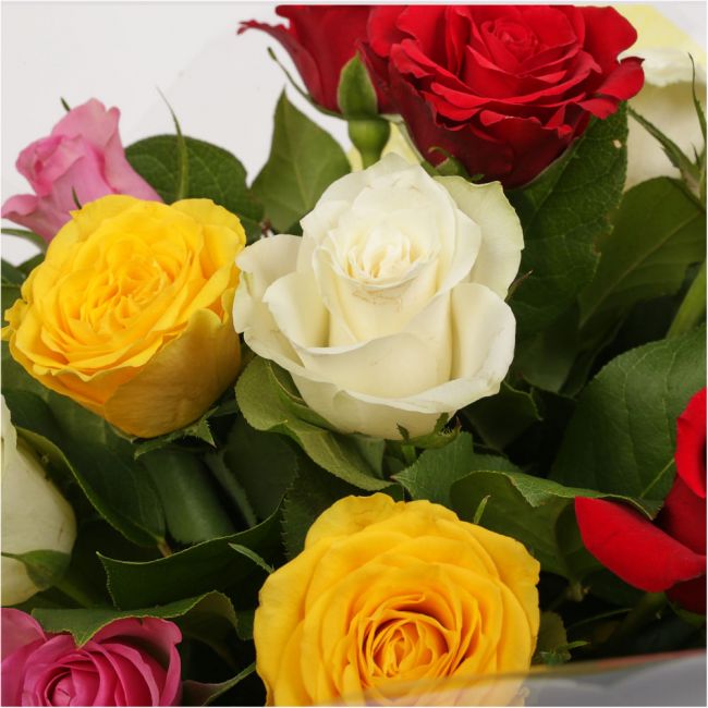 Beautiful Mixed Roses Bouquet FlowersBeautiful Mixed Roses, wrapped with matching ribbon, great value. This lovely selection of flowers is the perfect gift for any occasion. Roses are beautifully presented. Beautifully wrapped and tied with ribbon before