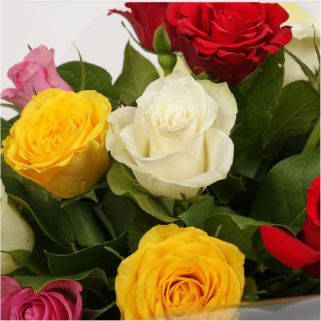 Beautiful Mixed Roses Bouquet FlowersBeautiful Mixed Roses, wrapped with matching ribbon, great value. This lovely selection of flowers is the perfect gift for any occasion. Roses are beautifully presented. Beautifully wrapped and tied with ribbon before