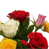 Beautiful Mixed Roses Bouquet FlowersBeautiful Mixed Roses, wrapped with matching ribbon, great value. This lovely selection of flowers is the perfect gift for any occasion. Roses are beautifully presented. Beautifully wrapped and tied with ribbon before