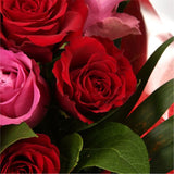 12 Red Pink Blush Rose BouquetThis beautiful selection of fresh 12 Roses, in pretty Pink shades and Red, is a classic choice, ready to be displayed instantly. Beautifully wrapped and tied with ribbon before being delivered.£14.99