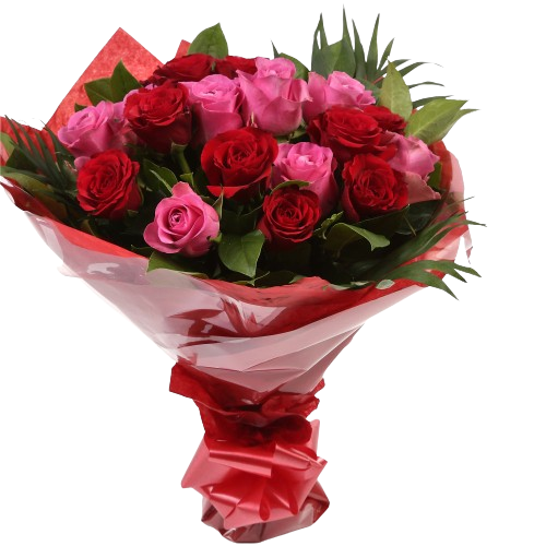 12 Red Pink Blush Rose BouquetThis beautiful selection of fresh 12 Roses, in pretty Pink shades and Red, is a classic choice, ready to be displayed instantly. Beautifully wrapped and tied with ribbon before being delivered.£14.99