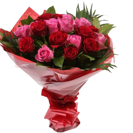 12 Red Pink Blush Rose BouquetThis beautiful selection of fresh 12 Roses, in pretty Pink shades and Red, is a classic choice, ready to be displayed instantly. Beautifully wrapped and tied with ribbon before being delivered.£14.99