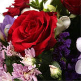Pastel Beautiful BouquetAn eye-catching hand-tied bouquet including Freesias, Statice, Spray Chrysanthemums and large-headed Red Roses complemented by white & purple Freesias. finished with a cerise ribbon, this vivid selection of flowers will create a st