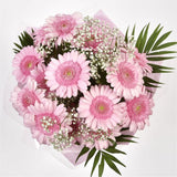 Pink Glamour GerberasPink Gerberas Presented with luxurious Pink Gypsophila foliage, Each product is handcrafted by one of our expert florists using the best flowers. Expertly created by our florists Beautifully wrapped and tied with ribbon before being d