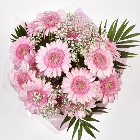 Pink Glamour GerberasPink Gerberas Presented with luxurious Pink Gypsophila foliage, Each product is handcrafted by one of our expert florists using the best flowers. Expertly created by our florists Beautifully wrapped and tied with ribbon before being d