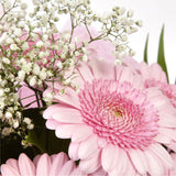 Pink Glamour GerberasPink Gerberas Presented with luxurious Pink Gypsophila foliage, Each product is handcrafted by one of our expert florists using the best flowers. Expertly created by our florists Beautifully wrapped and tied with ribbon before being d