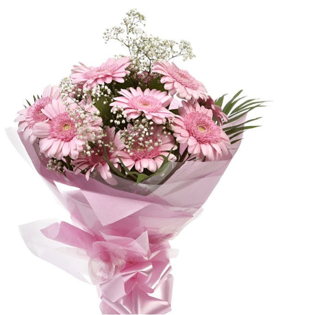 Pink Glamour GerberasPink Gerberas Presented with luxurious Pink Gypsophila foliage, Each product is handcrafted by one of our expert florists using the best flowers. Expertly created by our florists Beautifully wrapped and tied with ribbon before being d