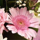 Pink Princess BouquetAn alluring hand-tied bouquet featuring Oriental Lilies, Gerberas, Anastasias, Gypsophila, in an array of pinks with striking Fressias & Chrysanthemums as highlights. A truly glamorous gift for any special occasion. Beautifully wrappe