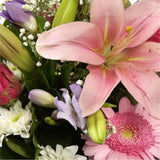 Pink Radiance BouquetAn endearing classic Lilies in soft pinks and whites with purple Freesias, large exquisite headed Anastasias, Pink Roses are complemented by delicate pink Gypsophila, luxurious sophisticated hand-tied bouquet certain to impress. Beaut