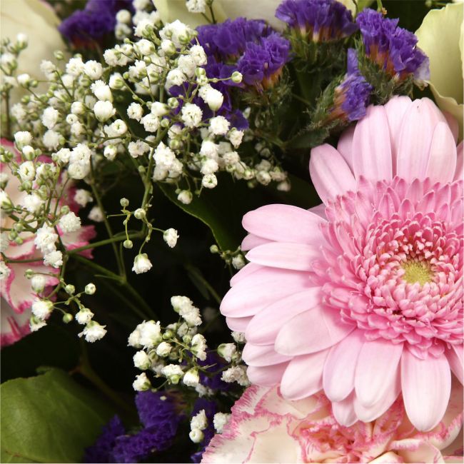 Pink Summer ChickThis Sweet Pink bouquet features matching pink Gerberas, Pink White Carnations, purple Statice and Pink Gypsophila, punctuated with White Roses. Expertly created by our florists Beautifully wrapped and tied with ribbon before being delive