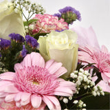Pink Summer ChickThis Sweet Pink bouquet features matching pink Gerberas, Pink White Carnations, purple Statice and Pink Gypsophila, punctuated with White Roses. Expertly created by our florists Beautifully wrapped and tied with ribbon before being delive