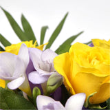 Pretty Scented Roses & FreesiasYellow large-headed Roses combine with pretty Freesias and foliage to create this beautifully scented bouquet in delicate lemons and lilacs. Beautifully Scented,£14.99