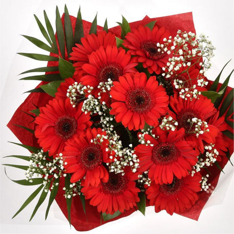 Red Glamour GerberasRed hot Gerberas Presented with luxurious Gypsophila foliage, Each product is handcrafted by one of our expert florists using the best flowers. Expertly created by our florists. Beautifully wrapped and tied with ribbon before being del