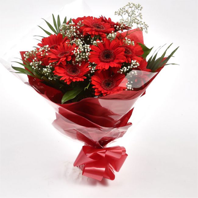 Red Glamour GerberasRed hot Gerberas Presented with luxurious Gypsophila foliage, Each product is handcrafted by one of our expert florists using the best flowers. Expertly created by our florists. Beautifully wrapped and tied with ribbon before being del