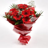Red Glamour GerberasRed hot Gerberas Presented with luxurious Gypsophila foliage, Each product is handcrafted by one of our expert florists using the best flowers. Expertly created by our florists. Beautifully wrapped and tied with ribbon before being del