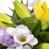 Scented Lilly & Freesias BouquetGreat Value with Scented Freesias Bouquet, Yellow Gerberas with foliage. A beautiful selection of , Yellow Lillies with Scented Freesias,are presented in a coordinating collar of tissue paper & cellophane with ribbon. The p