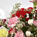Joyful Splendor BouquetBeautiful long lasting Vibrant Spray Bouquet is a pretty display of 15 delicate spray Carnations in beautiful shades. Each stem has at least four flower heads so 15 stems will give around 50 - 60 flowerheads. Colours may vary from i