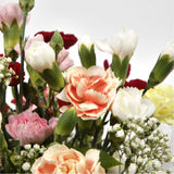 Joyful Splendor BouquetBeautiful long lasting Vibrant Spray Bouquet is a pretty display of 15 delicate spray Carnations in beautiful shades. Each stem has at least four flower heads so 15 stems will give around 50 - 60 flowerheads. Colours may vary from i
