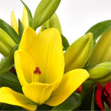 Orange Sunshine BouquetThis Sunshine bouquet features matching Red Roses.Orange Gerberas, Red Carnations, Lillie's with Solidago and other assorted flowers, punctuated with palm leaves expertly created by our florists.Beautifully wrapped and tied with rib