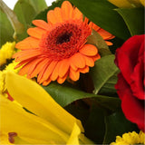 Orange Sunshine BouquetThis Sunshine bouquet features matching Red Roses.Orange Gerberas, Red Carnations, Lillie's with Solidago and other assorted flowers, punctuated with palm leaves expertly created by our florists.Beautifully wrapped and tied with rib