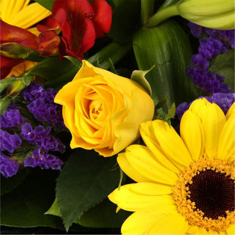 Yellow Blush BouquetAn alluring hand-tied bouquet featuring Oriental Lilies, Gerberas, , White Roses, Anastasia in an array of pinks with striking Bloom Chrysanthemums and Pink Gypsophila. A truly glamorous gift for any special occasion. Expertly created