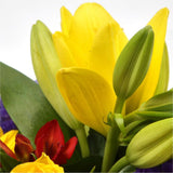 Yellow Blush BouquetAn alluring hand-tied bouquet featuring Oriental Lilies, Gerberas, , White Roses, Anastasia in an array of pinks with striking Bloom Chrysanthemums and Pink Gypsophila. A truly glamorous gift for any special occasion. Expertly created